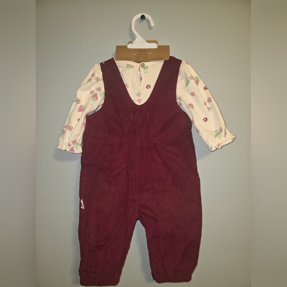 Rabbit + Bear Organic Baby 3-Piece Outfit Set Corduroy Overalls Strawberry Shirt - Picture 2 of 5
